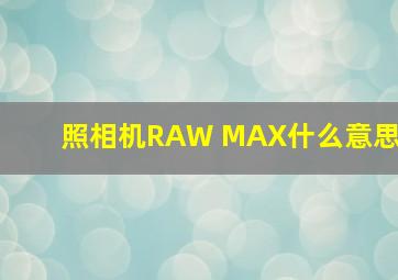 照相机RAW MAX什么意思